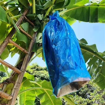 Zgrzewana plastikowa niebieska torba PE na kiść bananów. Obejmuje 20-200mikrony